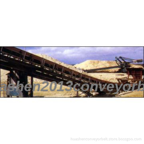 Chemical resistant conveyor belt
